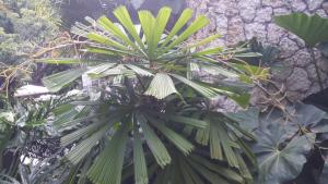 post-5491-0-56812800-1411748526_thumb.jp