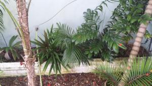 post-5491-0-62544800-1408713928_thumb.jp