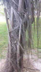 post-5491-0-74059500-1417798502_thumb.jp