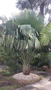 post-5491-0-77274800-1409838907_thumb.jp