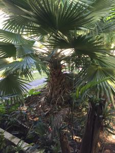 post-5491-0-86389300-1417803148_thumb.jp