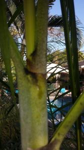 post-5491-0-87687800-1394202186_thumb.jp