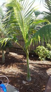 post-5491-0-89277900-1421764940_thumb.jp