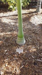 post-5491-0-89295800-1421764949_thumb.jp