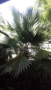 post-5491-0-91857000-1408714111_thumb.jp