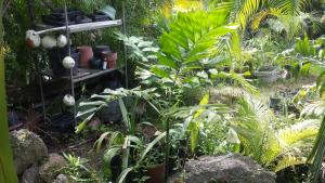 post-5491-0-98552700-1411128584_thumb.jp