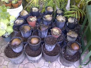 post-5491-065661700 1317258756_thumb.jpg