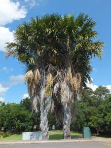 post-5516-051749700 1330487405_thumb.jpg