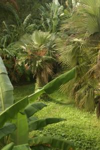 post-562-079755300 1334079013_thumb.jpg