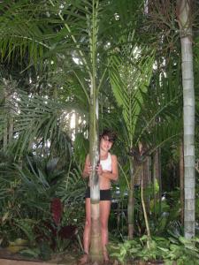 post-5709-0-00842600-1398676848_thumb.jp