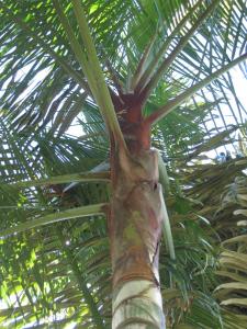 post-5709-0-07626200-1409803796_thumb.jp