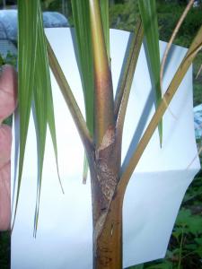 post-5709-0-11759500-1376988894_thumb.jp