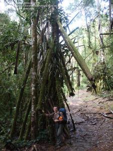 post-5709-0-12379300-1356507271_thumb.jp