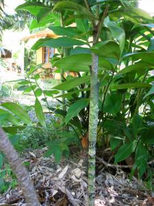 post-5709-0-14920400-1429846800_thumb.jp