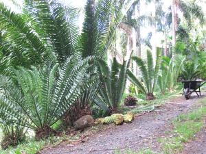 post-5709-0-20007600-1418900388_thumb.jp