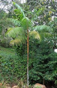 post-5709-0-20986700-1377168307_thumb.jp