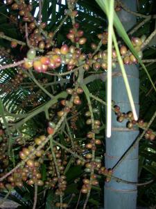 post-5709-0-22244000-1371721774_thumb.jp