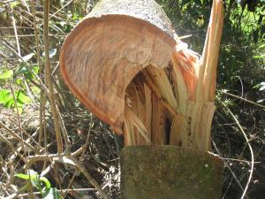 post-5709-0-49261200-1410411924_thumb.jp