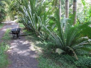 post-5709-0-65345700-1418900067_thumb.jp