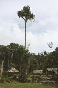 post-5709-0-72079500-1356591450_thumb.jp