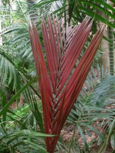 post-5709-0-78212000-1428715830_thumb.jp