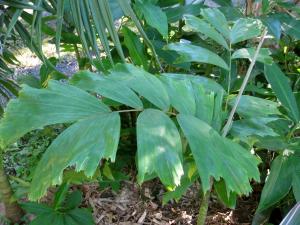 post-5709-0-78664600-1429846751_thumb.jp