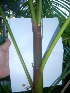 post-5709-0-80945800-1376988912_thumb.jp