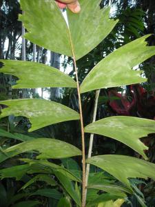 post-5709-0-86025800-1429913488_thumb.jp