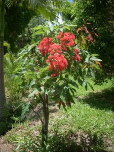 post-5709-0-88090600-1368604889_thumb.jp