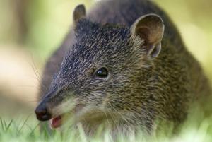 post-5709-0-89776500-1379128241_thumb.jp