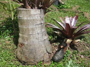 post-5709-0-96039800-1409968072_thumb.jp