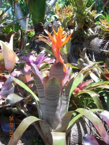 post-5709-001923600 1321754780_thumb.jpg