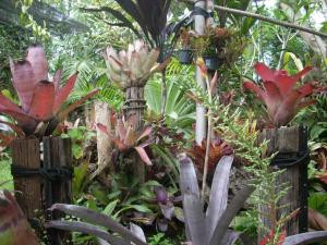 post-5709-003656500 1323203067_thumb.jpg