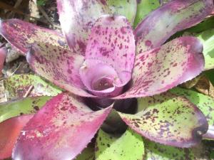 post-5709-003798100 1320459427_thumb.jpg