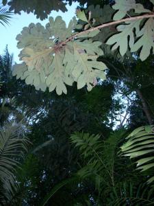 post-5709-004876900 1319310504_thumb.jpg