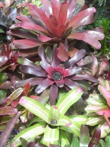 post-5709-006327000 1320459421_thumb.jpg