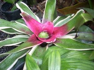 post-5709-006899500 1323203078_thumb.jpg