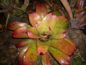 post-5709-009304400 1320396093_thumb.jpg