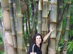 post-5709-009803200 1313148805_thumb.jpg