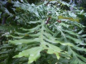 post-5709-010027000 1319340910_thumb.jpg