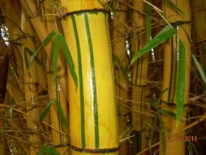 post-5709-015691300 1313147466_thumb.jpg