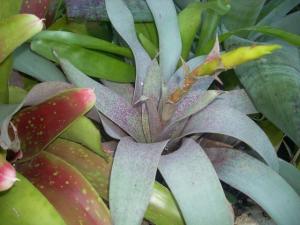 post-5709-015733000 1320655851_thumb.jpg