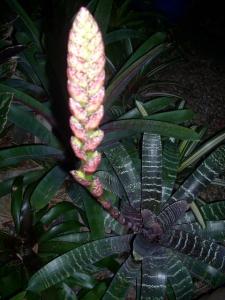 post-5709-021576800 1320394587_thumb.jpg