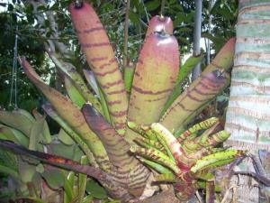 post-5709-029299200 1320393793_thumb.jpg