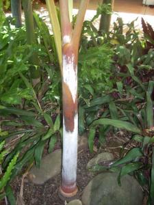 post-5709-034944900 1339808087_thumb.jpg