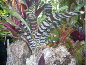 post-5709-042422600 1320655871_thumb.jpg