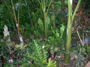 post-5709-042636400 1320350203_thumb.jpg