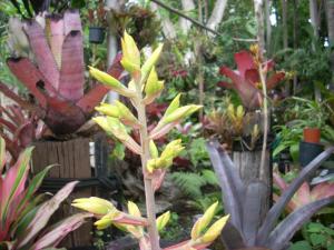 post-5709-051618100 1323203052_thumb.jpg