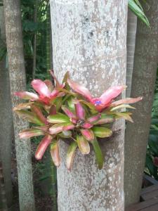 post-5709-057920800 1320459408_thumb.jpg