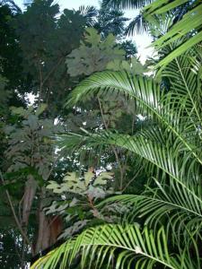 post-5709-078958500 1319271900_thumb.jpg